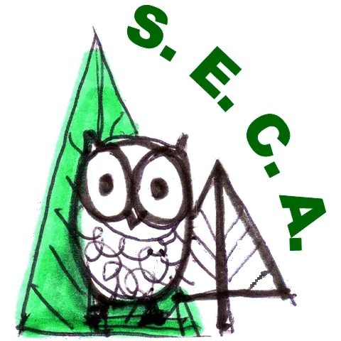 Logo SECA